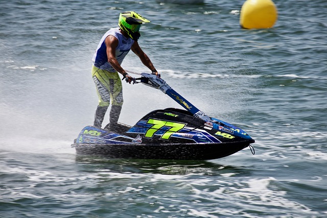 从哪里来 从哪里来