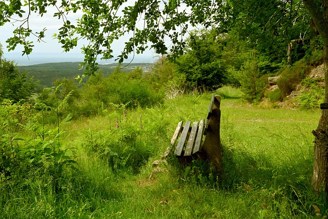 赶超的机会 赶超的机会
